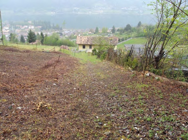 immagine descrittiva del lotto