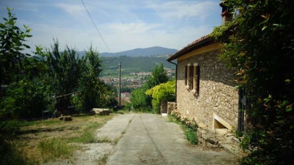 immagine descrittiva del lotto