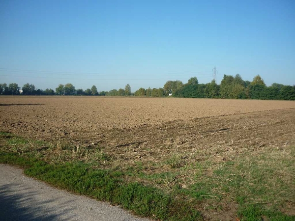 immagine descrittiva del lotto