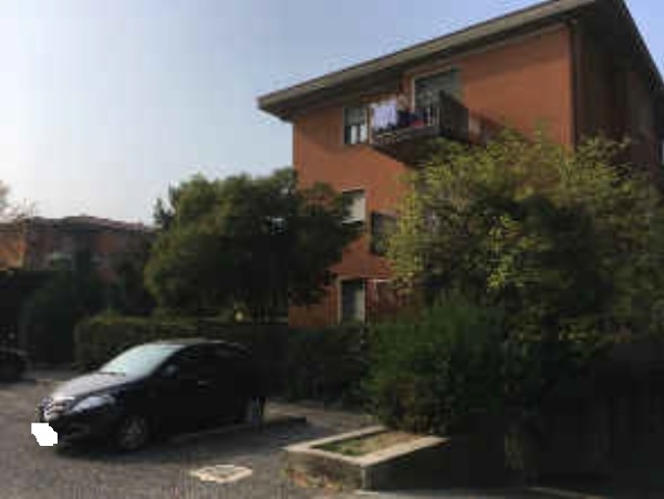 immagine descrittiva del lotto