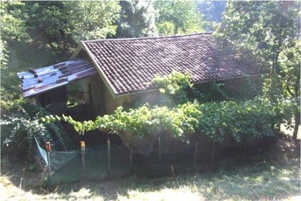 immagine descrittiva del lotto