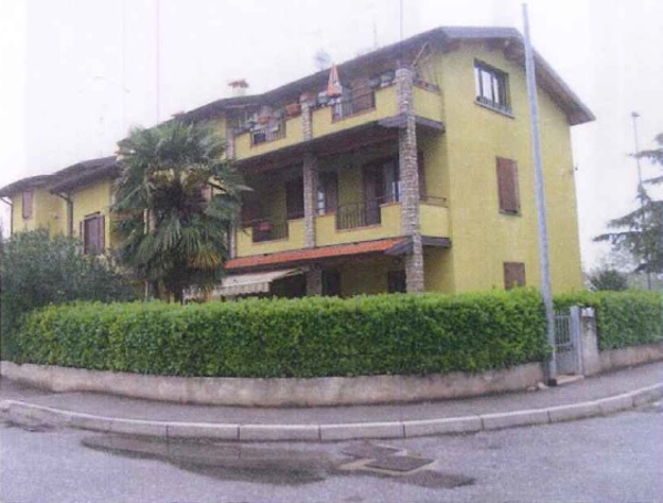 immagine descrittiva del lotto
