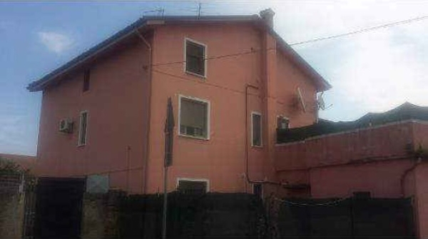 immagine descrittiva del lotto