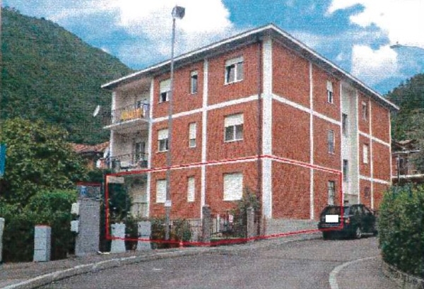 immagine descrittiva del lotto