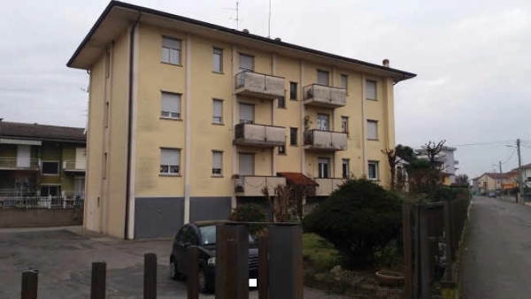 immagine descrittiva del lotto