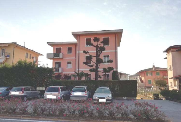 immagine descrittiva del lotto