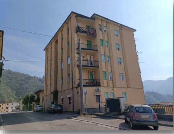 immagine descrittiva del lotto